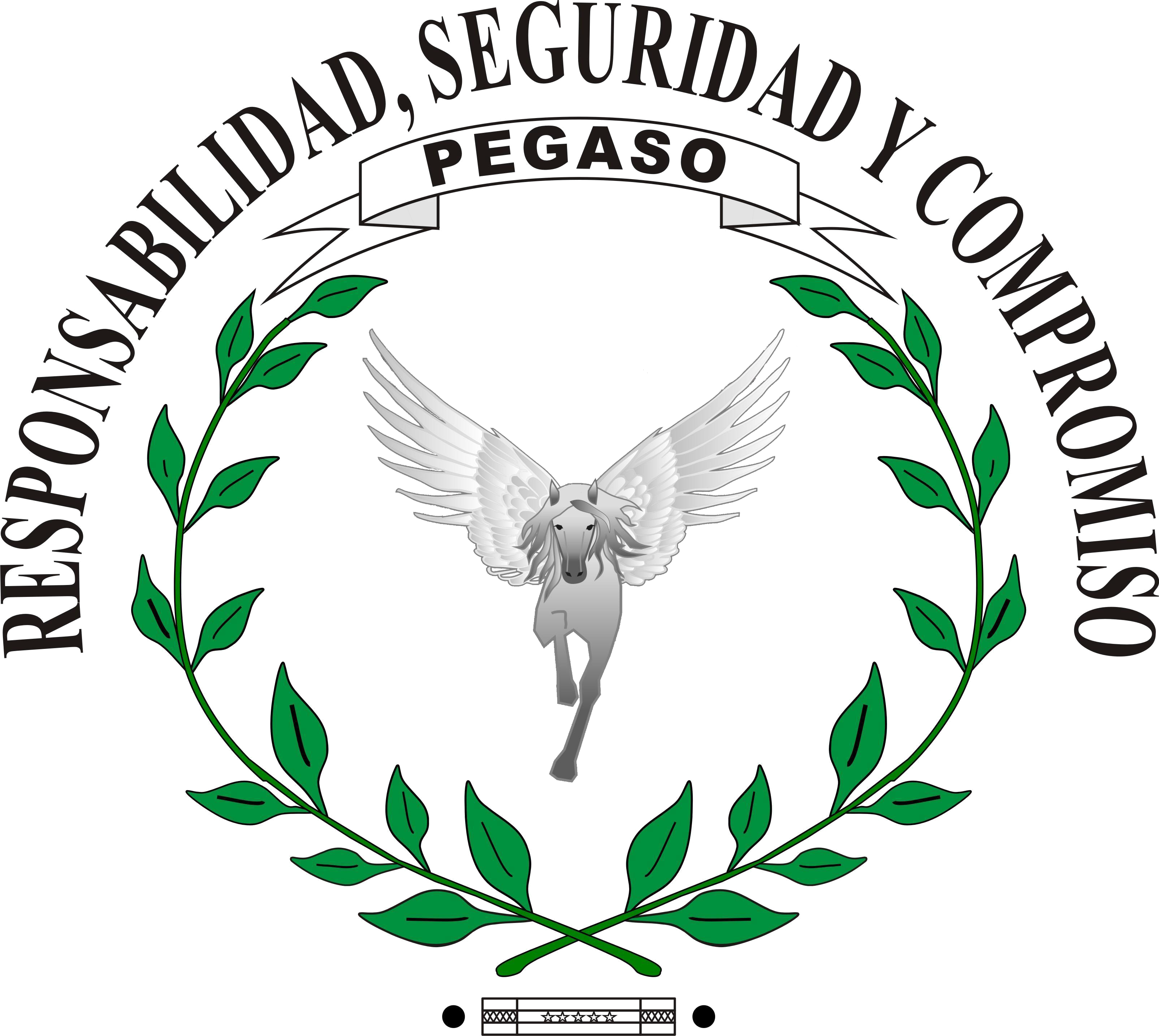 Corporativo de Seguridad Privada Pegaso
